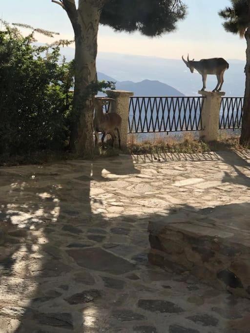 Luxury Apartment Sierra Nevada Γρανάδα Εξωτερικό φωτογραφία